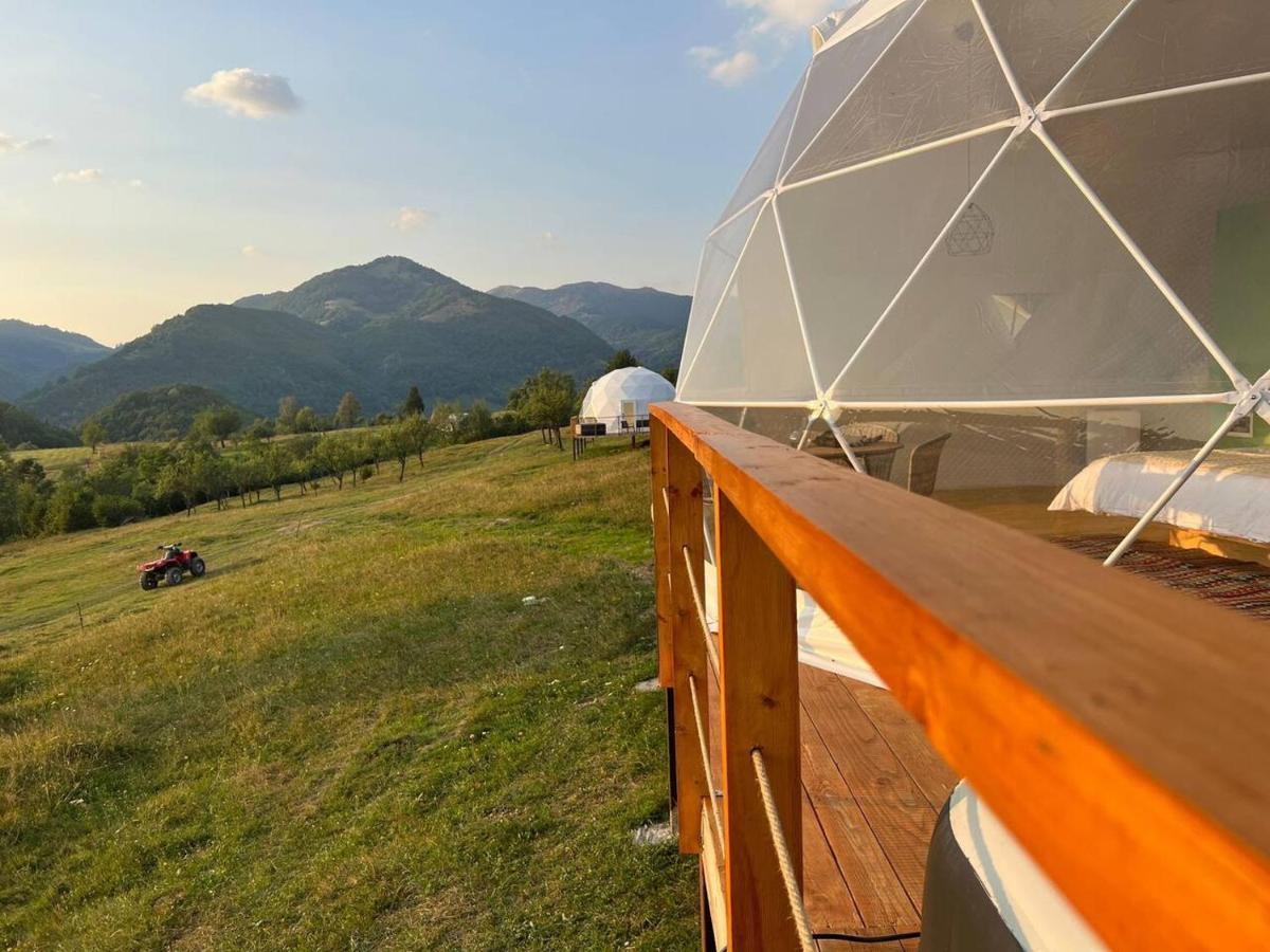 Starry Dome - Manta's Retreat Glamping