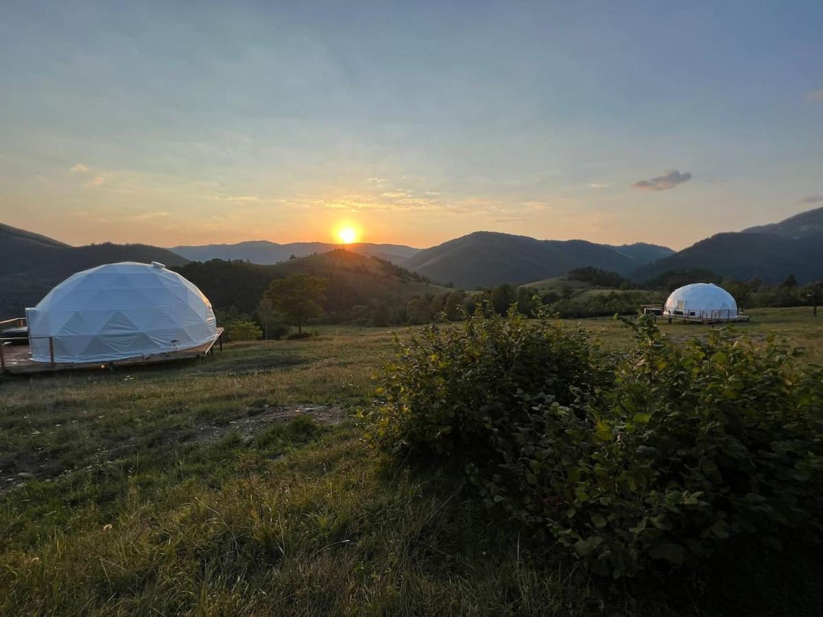 Starry Dome - Manta's Retreat Glamping Luxuszelt *