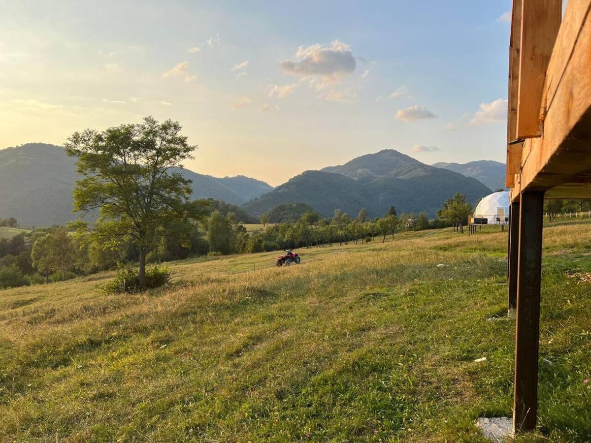 Luxuszelt Starry Dome - Manta's Retreat Glamping