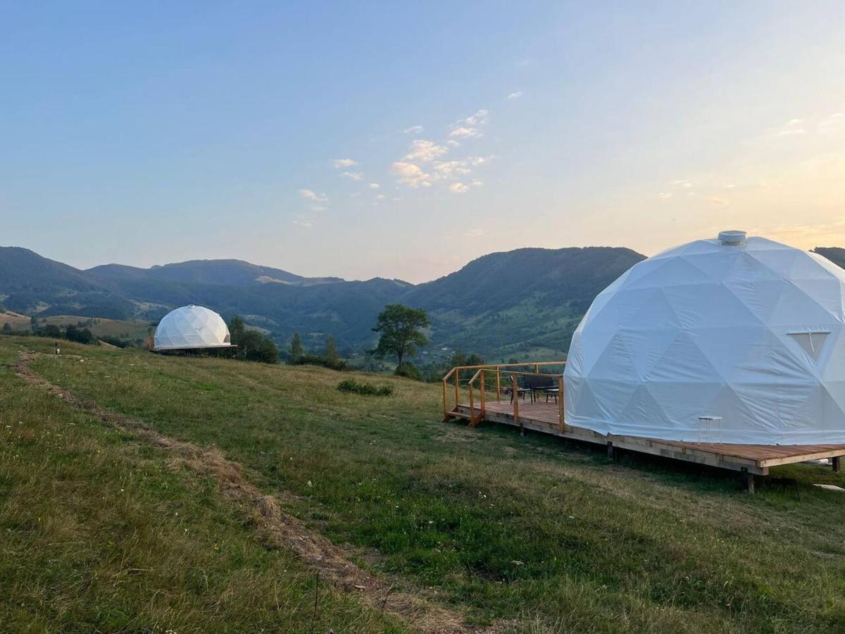 Luxuszelt Starry Dome - Manta's Retreat Glamping *