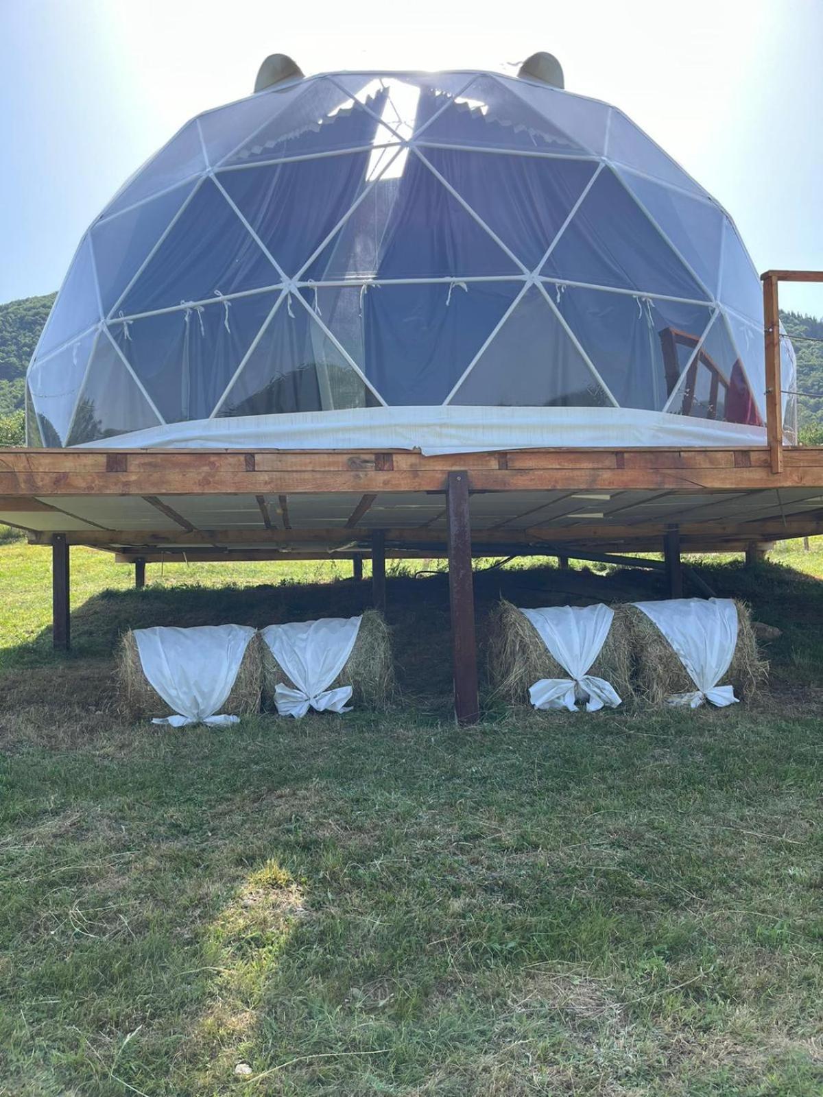 Starry Dome - Manta's Retreat Glamping