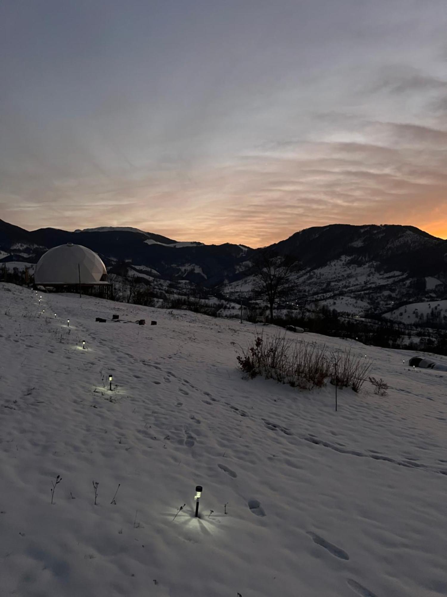 Starry Dome - Manta's Retreat Glamping Luxuszelt
